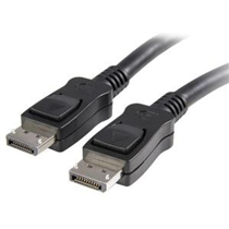 DisplayPort image DisplayPort