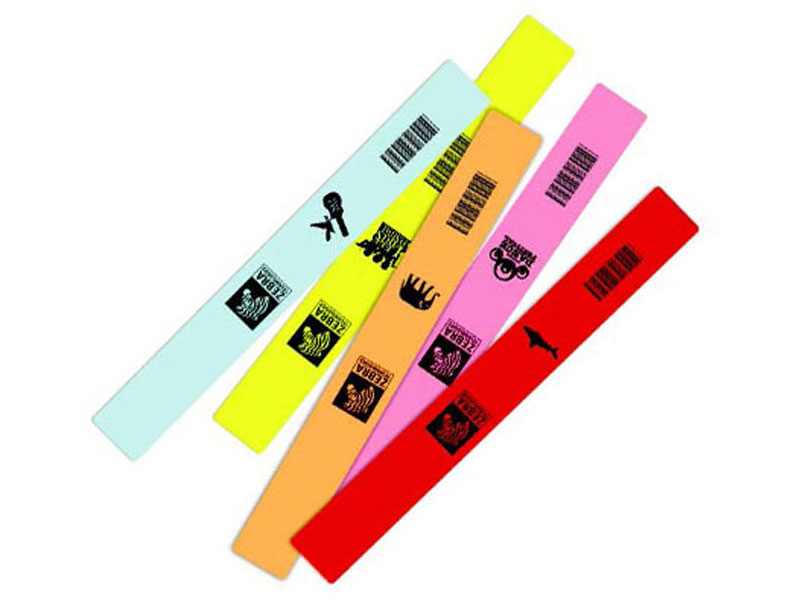 Z-Band Fun Product Image Z-Band Fun Product Image