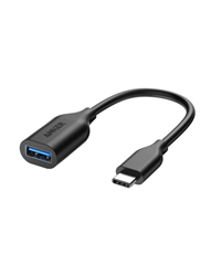 USB-C OTG Adapter Photo