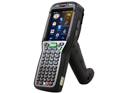 Dolphin 99GX Photo
