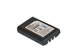 BAT-P1-001 Photo