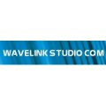 Wavelink Software Maintenance Wavelink Software Maintenance