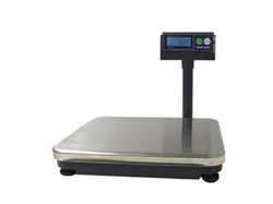 Viva Scale Photo